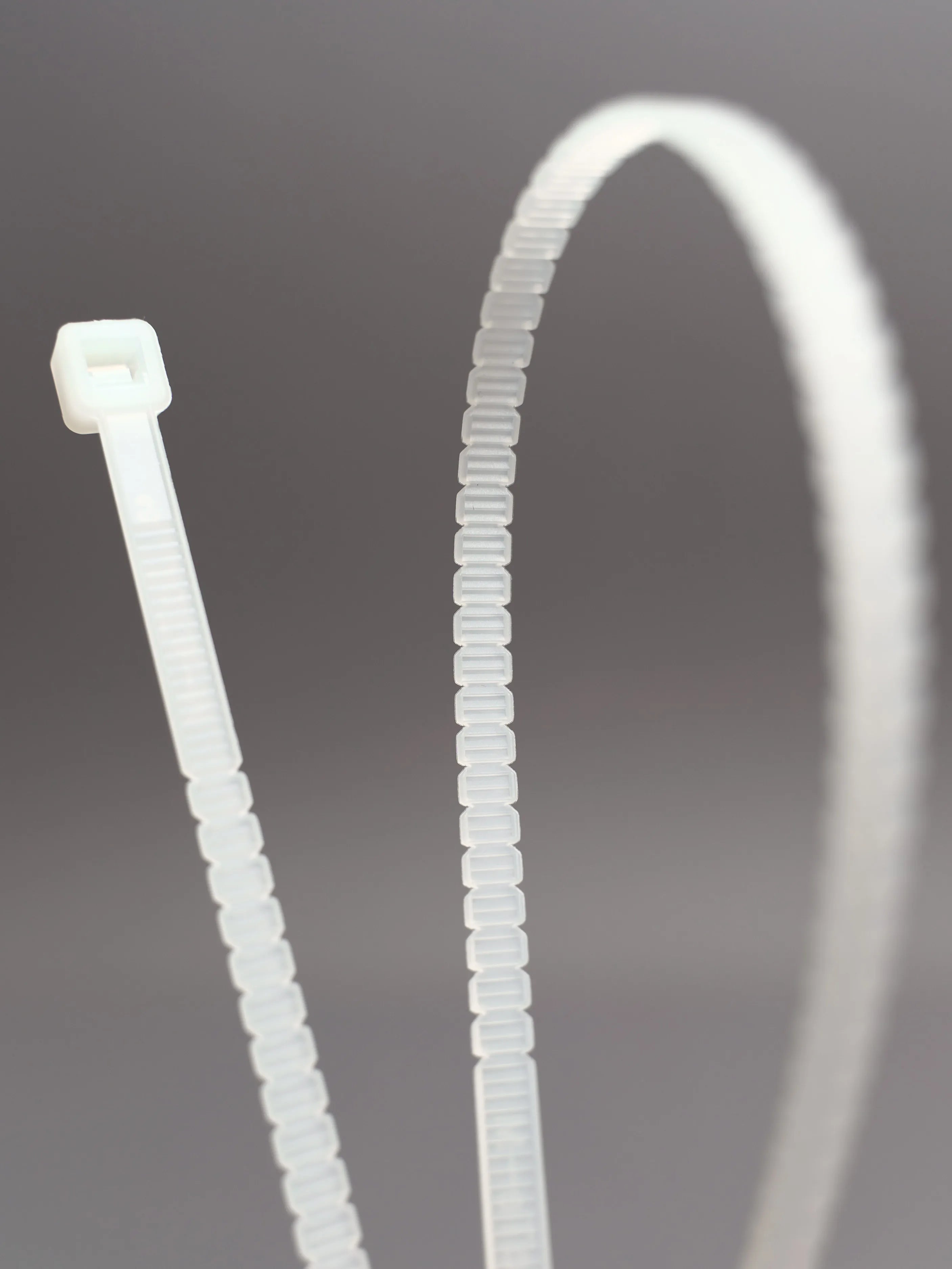 ein transparenter Tight'n Twist Kabelbinder in Nahaufnahme